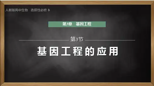 生物人教版(2019)选择性必修3 3