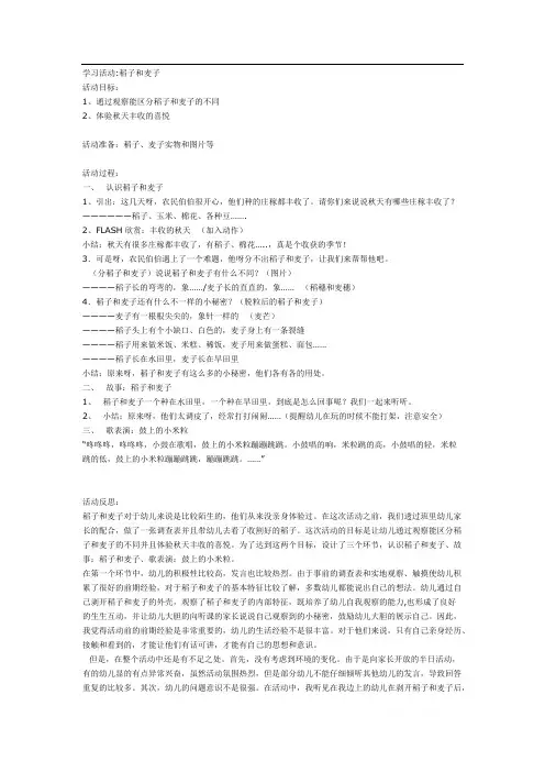 中班科学：稻子和麦子