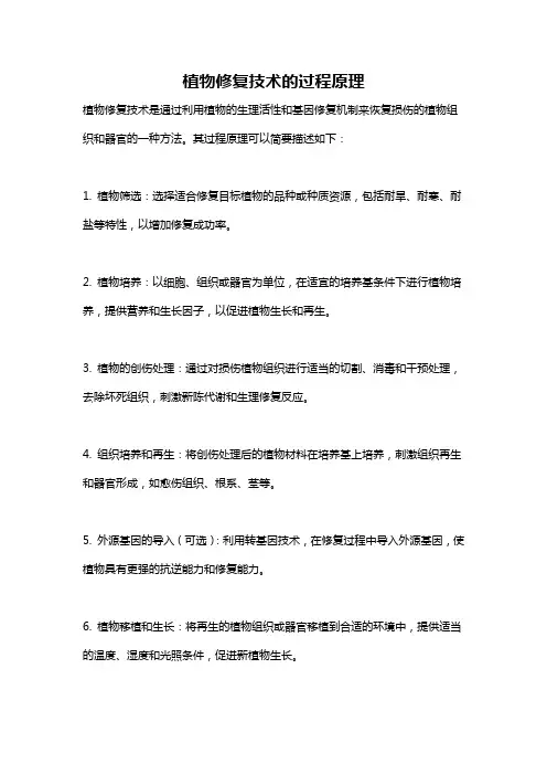 植物修复技术的过程原理
