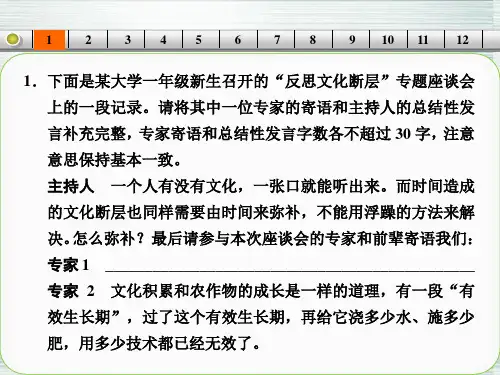 【步步高】山东省2014高考语文大一轮复习讲义 语言 考点提升练课件 鲁人版