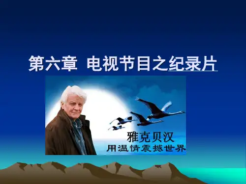 第六章 纪录片