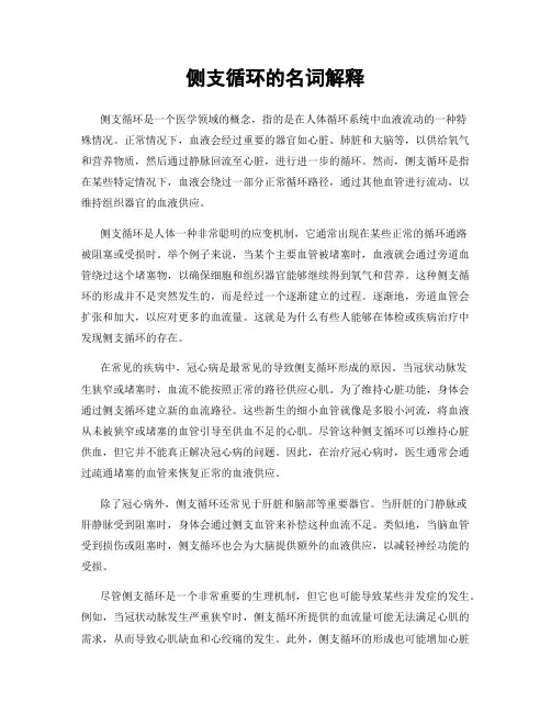 侧支循环的名词解释