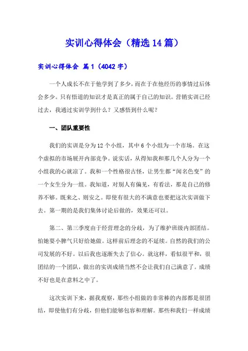 实训心得体会(精选14篇)
