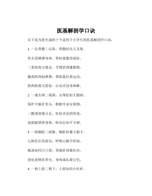 医基解剖学口诀