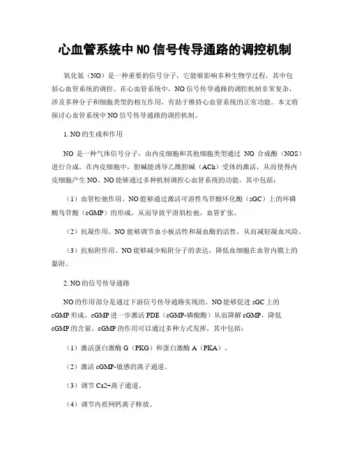 心血管系统中NO信号传导通路的调控机制