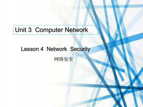 计算机英语unit3 Computer Network Lesson4 Network Security