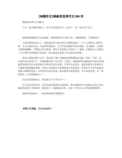 [动物作文]蚂蚁的世界作文500字