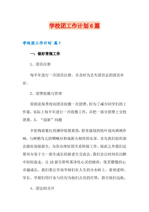 学校团工作计划6篇