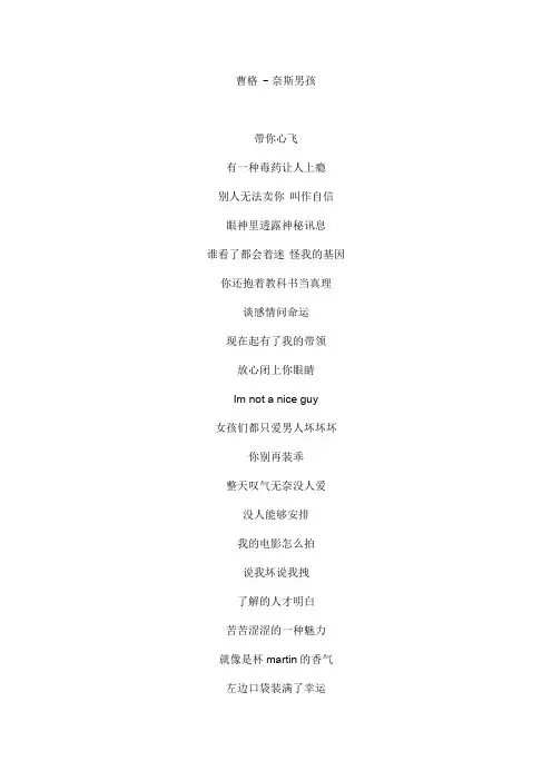 奈斯男孩文本歌词