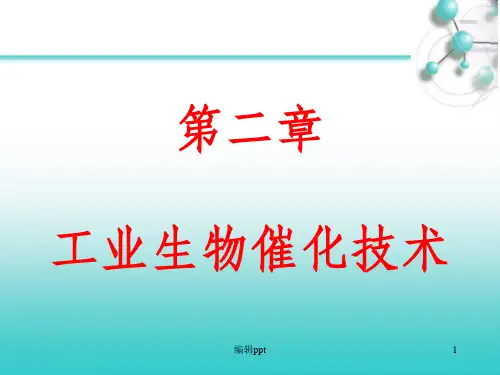 《工业生物催化技术》PPT课件