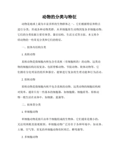 动物的分类与特征