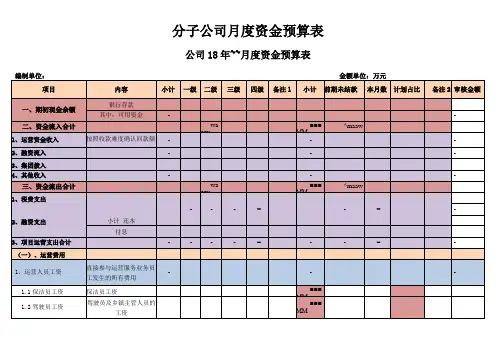 分子公司月度资金预算表