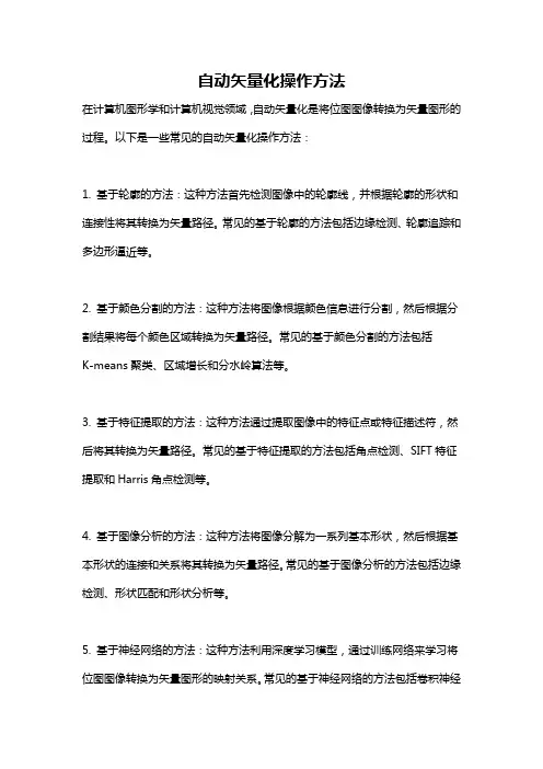 自动矢量化操作方法