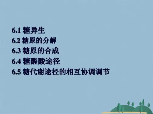 ch糖异生和糖原代谢(共99张PPT)