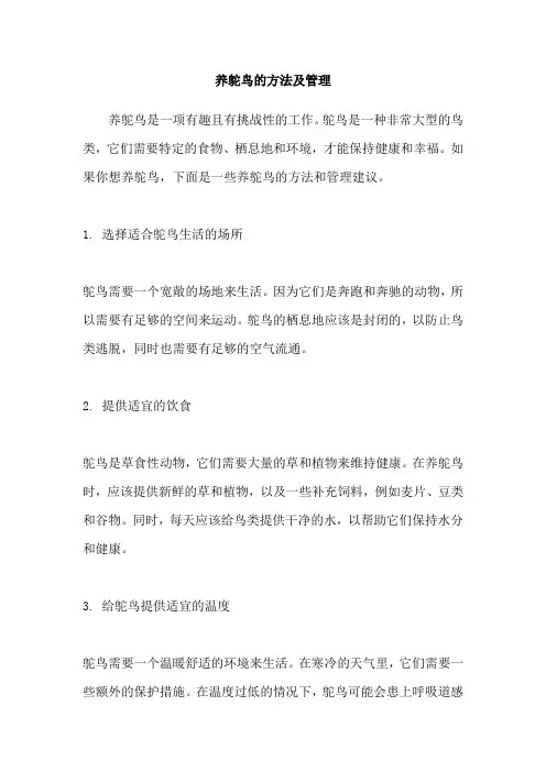 养鸵鸟的方法及管理