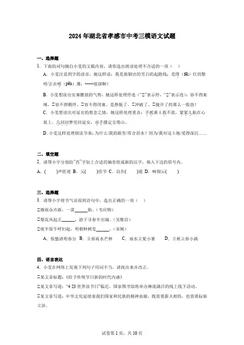 2024年湖北省孝感市中考三模语文试题