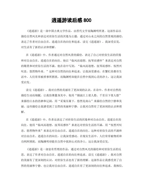 逍遥游读后感800
