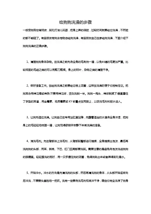 给狗狗洗澡的步骤
