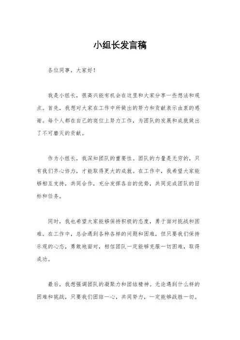 小组长发言稿