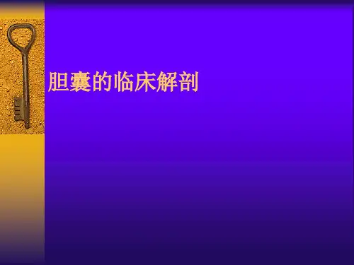 医学课件：胆囊的解剖应用