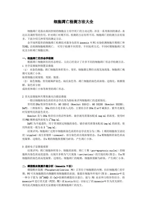 细胞凋亡检测方法有哪些？