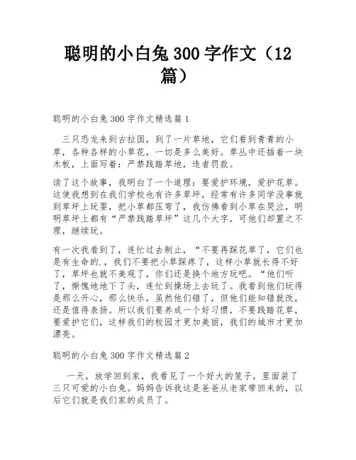 聪明的小白兔300字作文(12篇)