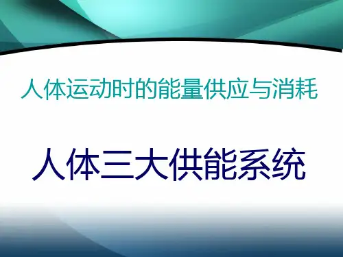 人体运动时的能量供应与消耗