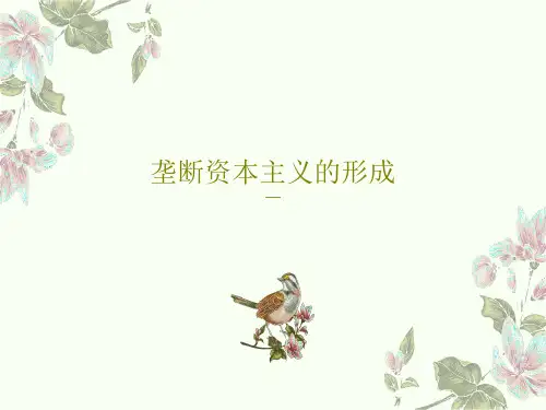 垄断资本主义的形成15页PPT