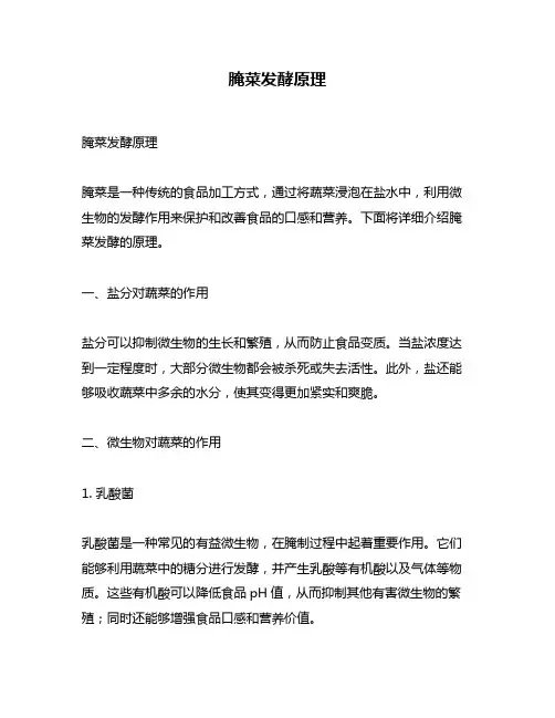 腌菜发酵原理