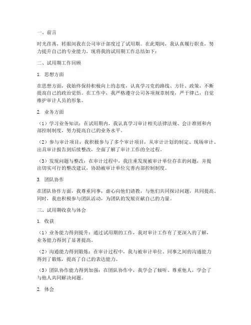 审计转正总结范文