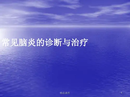 常见脑炎的诊断与治疗医学PPT