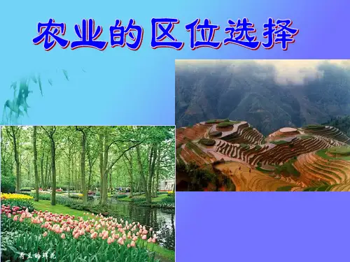 农业的区位选择(公开课)