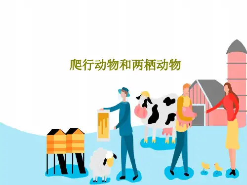 爬行动物和两栖动物26页PPT
