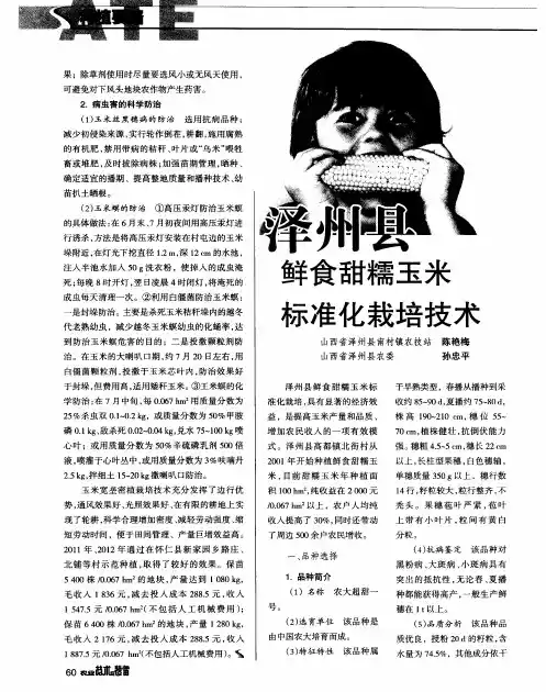 泽州县鲜食甜糯玉米标准化栽培技术