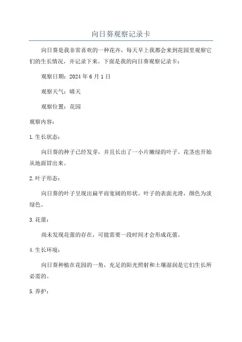 向日葵观察记录卡