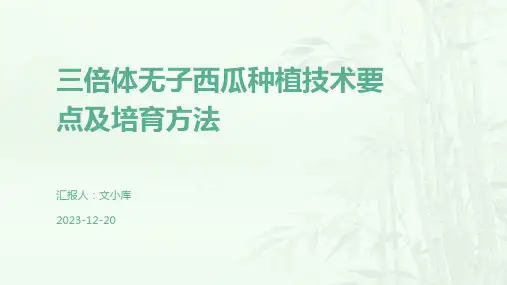 三倍体无子西瓜种植技术要点及培育方法