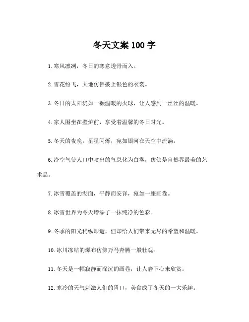 冬天文案100字