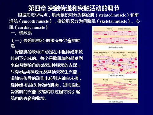 生理4
