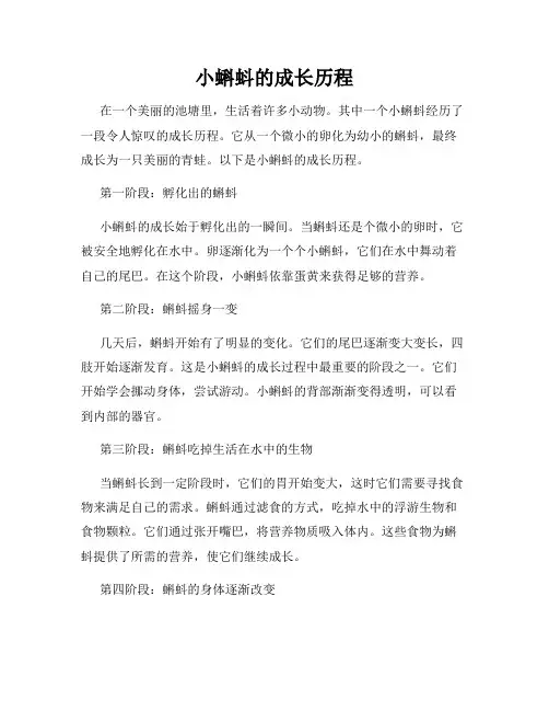 小蝌蚪的成长历程