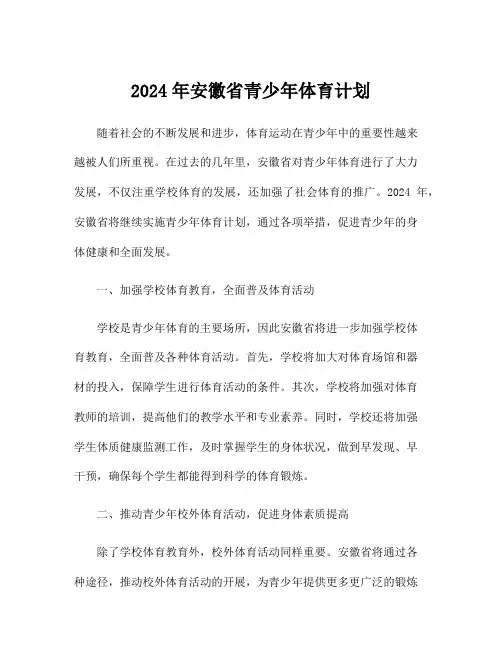 2024年安徽省青少年体育计划