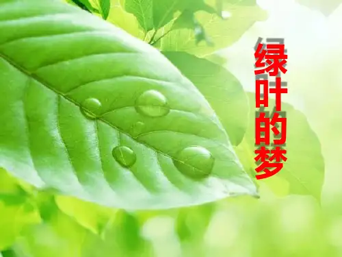 S版四年级语文上册《绿叶的梦》PPT课件(2篇)