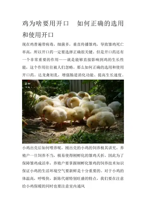 鸡为啥要用开口  如何正确的选用和使用开口
