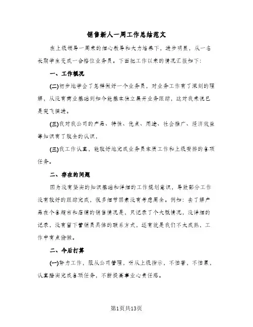销售新人一周工作总结范文(7篇)