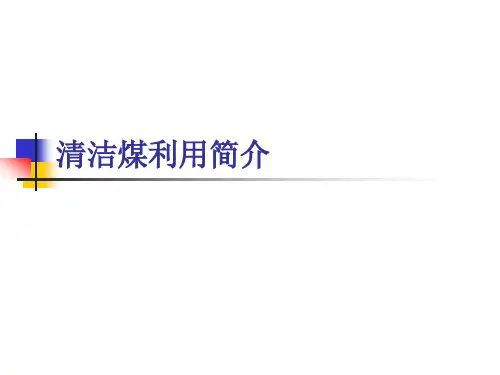 煤炭清洁利用技术