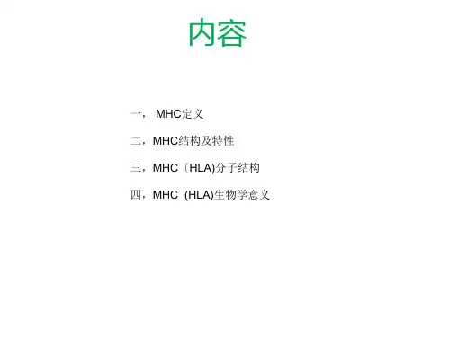 主要组织相容性复合体MHC及其编码分子医学免疫学课件