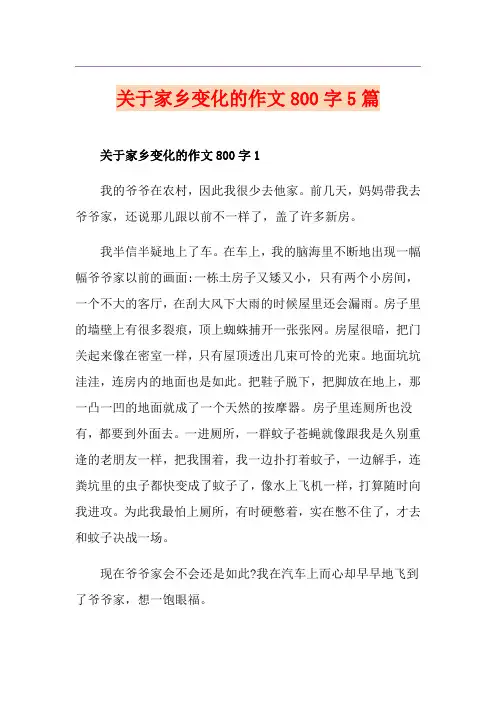 关于家乡变化的作文800字5篇