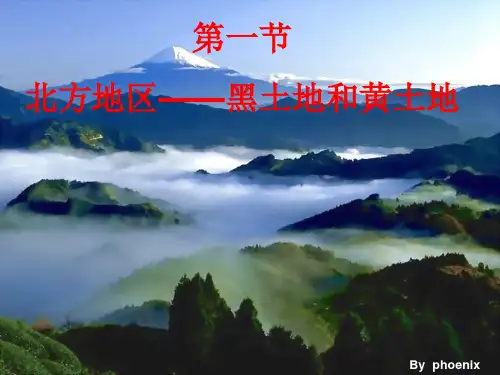 粤教初中地理八下《5第1节 北方地区——黑土地和黄土地》ppt课件 (2篇)