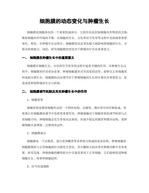 细胞膜的动态变化与肿瘤生长