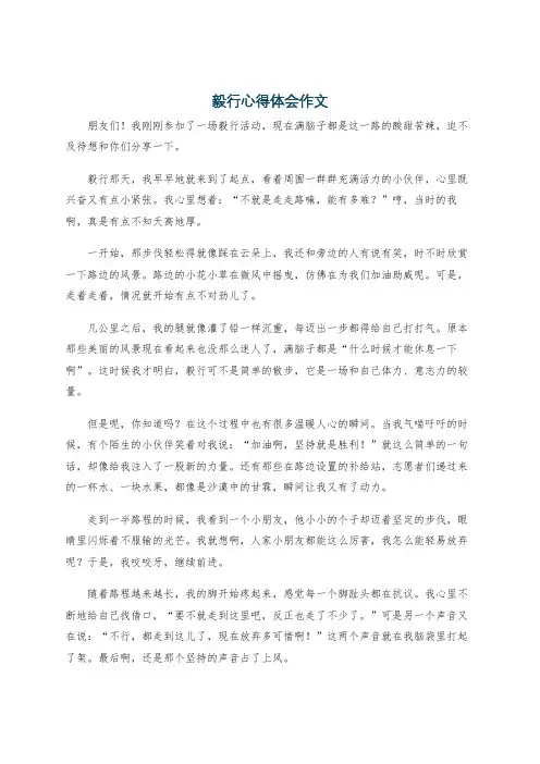 毅行心得体会作文