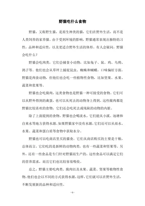 野猫吃什么食物